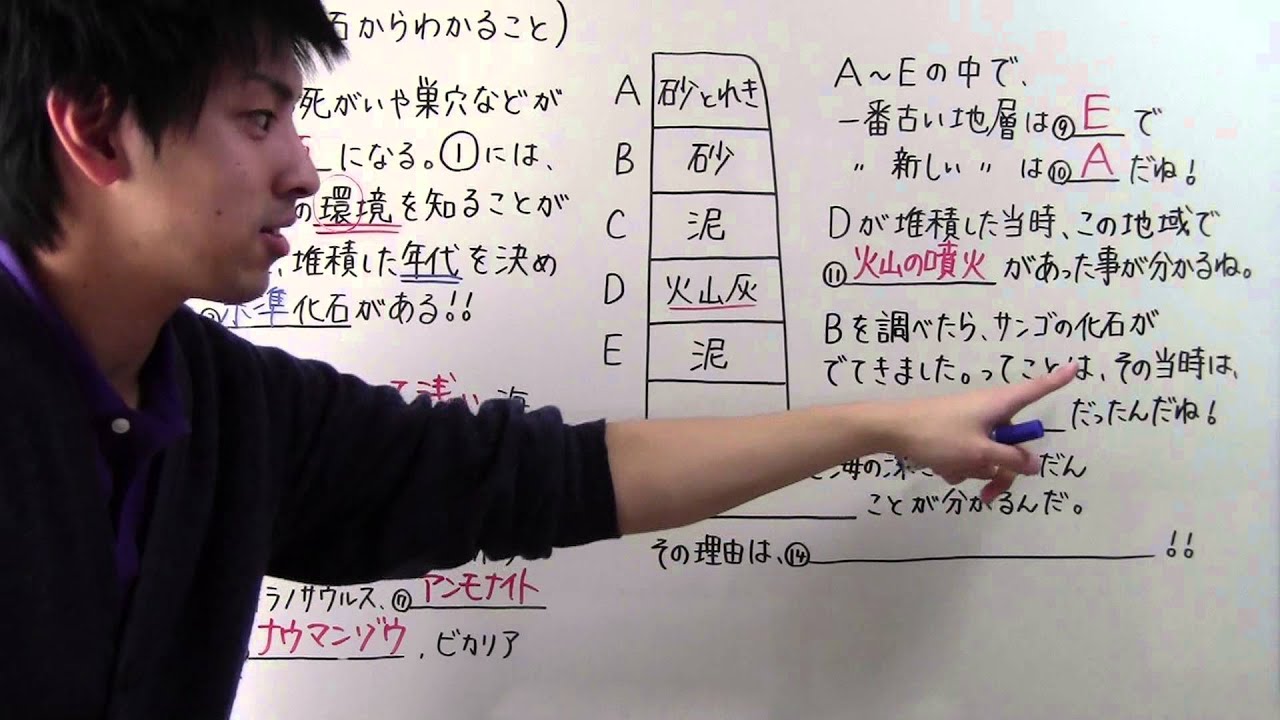 中１ 理科 中１ ５６ 地層や化石からわかること Youtube