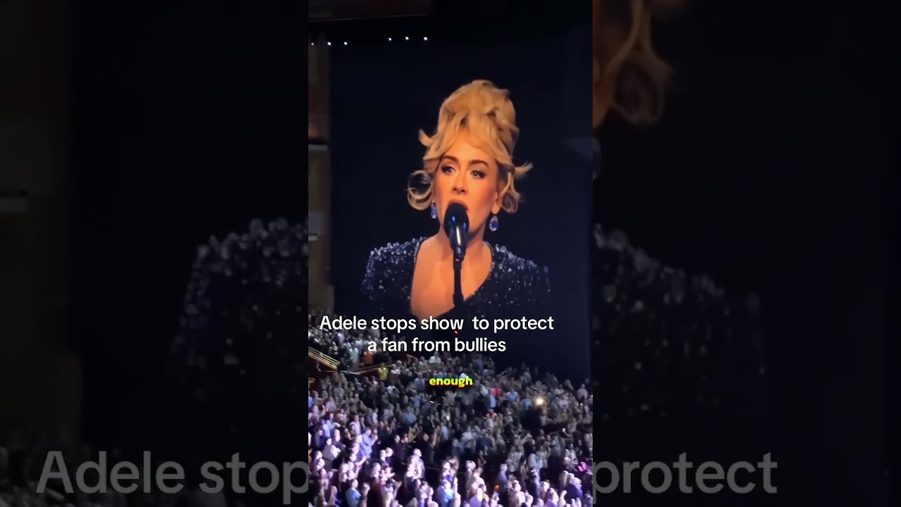 Adele STOPS Show And Stands Up For Fan 