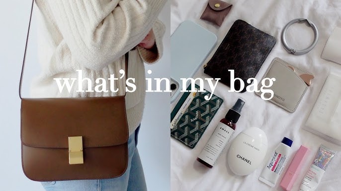 What's In My Bag?  Goyard Anjou Mini Bag 