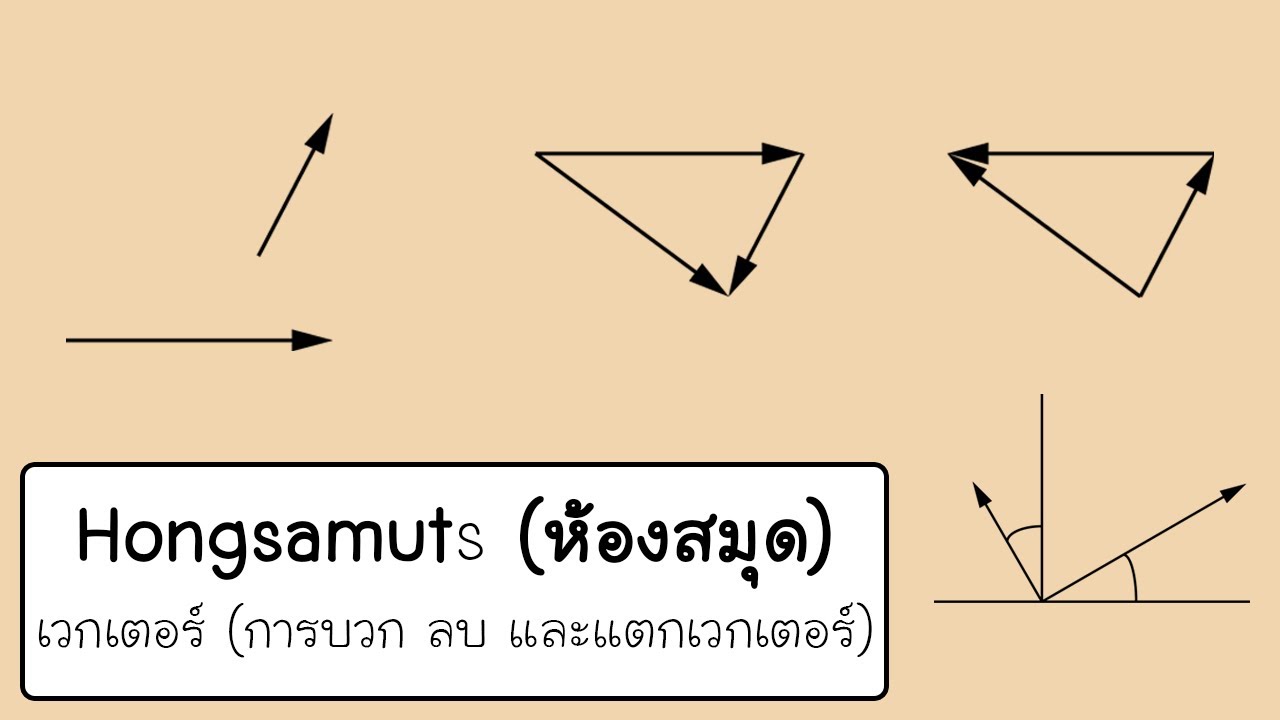 เวกเตอร์สีส้ม  2022  เวกเตอร์ (การบวก ลบ และแตกเวกเตอร์)