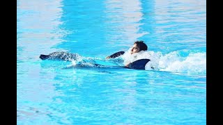 Swim with dolphins ,foot push with dolphins