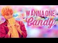 How would Wanna One sing Samuel's Candy