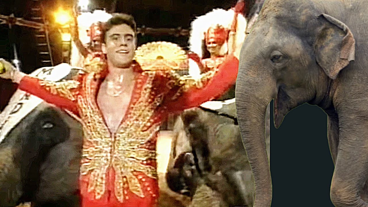 Gli elefanti di José María González jr. presentati al Circo Mundial (Spagna 1998)