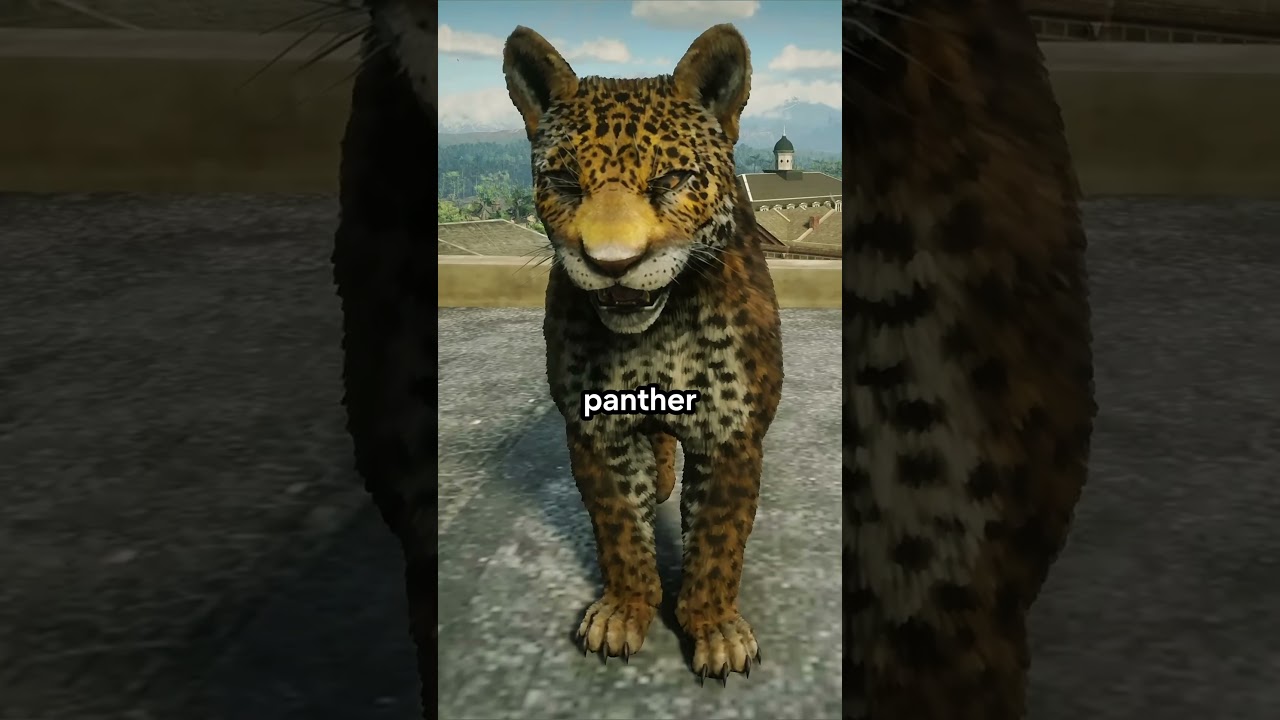 You MUST Get This Item For Your Horse