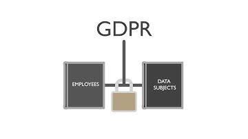 What are your rights