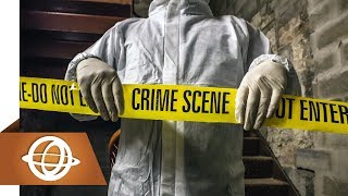 10 Most Commonly Committed Crimes around the World