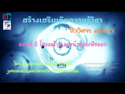 สร้างเสริมเติมความรู้  วิชาชีววิทยา ม.ปลาย  ตอนที่ 6 โครงสร้างและหน้าที่ของพืชดอก