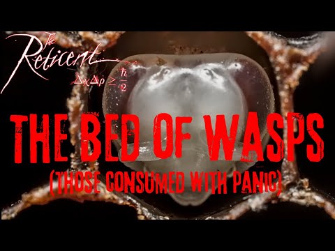 THE RETICENT - The Bed of Wasps (Visualizer)