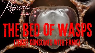 THE RETICENT – The Bed of Wasps (Visualizer)