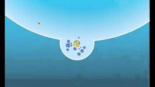 Zoidberg's birthday, blind LP announcement and Bubble Tank Extravaganza! (#1)