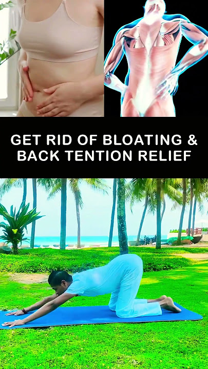 Gas & Bloating   Backache Relief🔥 #gasrelief #backache