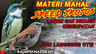 SPEED JROJOS! LAWAN GAK DI KASIH KESEMPATAN | MATERI TEMBAKAN KASAR UNTUK BURUNG LOMBA