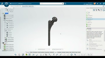 Hip prosthesis Dynamic Study