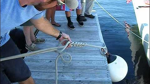 DaisyChain Docklines