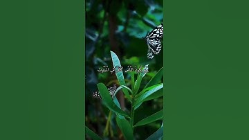 حالات واتس اب دينية الشيخ ياسر الدوسري (سورة القارعة)