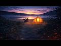 24/7 Relaxing Solo Camp 🔥 Campfire &amp; Nature Sounds | No Talking ASMR