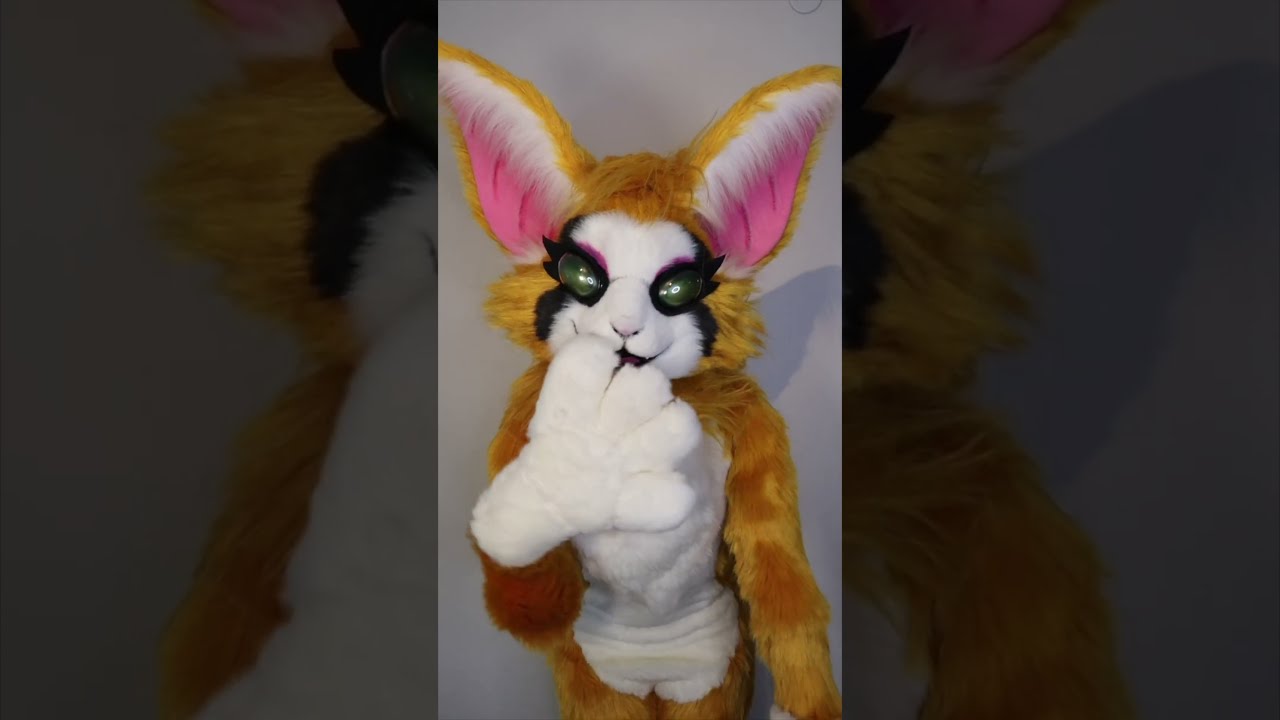 Fidget The Nimbat Waifu 
