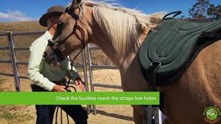 The LightRider bareback pad, EasyClean girth & treeless pad