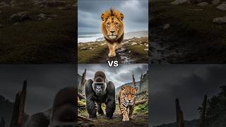 Gorilla Jaguar Vs. Wild Animals Battle For Dominance