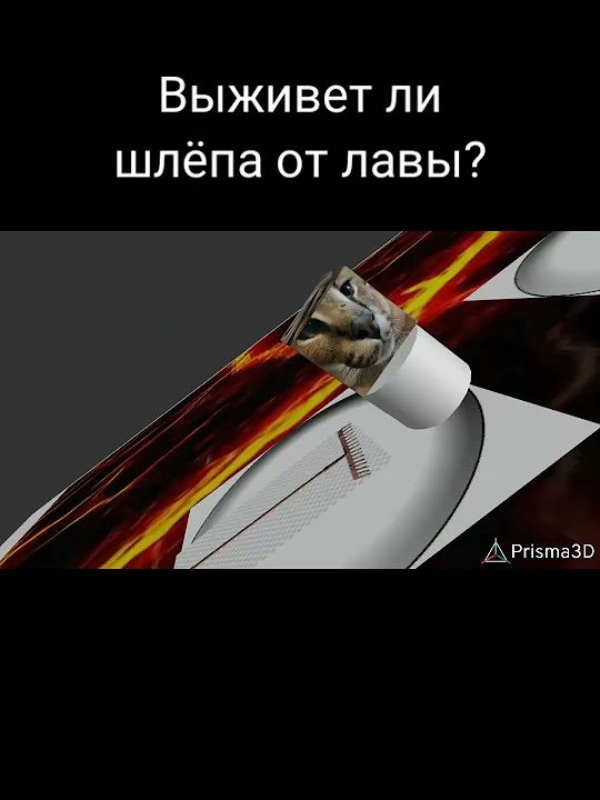 Шлепу поздравляю - YouTube