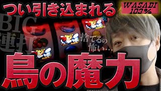 【ワサビ第51弾】勝利に徹した立ち回り術ワサビが103%↑目指してガチ実戦 #パチスロ #ワサビ