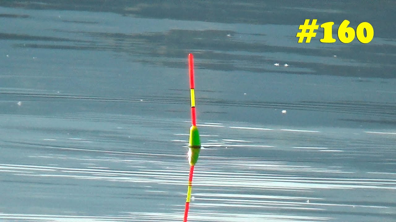 Большая удочка | Великая охота на карпа | Рыбалка в реке | Рыбалка на живца