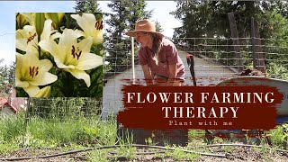 Flower Farming therapy | Plant with me | FUTURE PLANS FOR THE FLOWER FARM