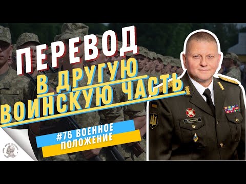 Как перевестись в другую воинскую часть?