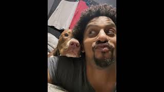 Drama queen dog🤣😂 #foryou #puppy #cutedog #dog #funnydog #funny #fyp