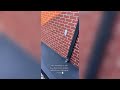 Charcoal colored concrete #vlog form Prep to pour #concrete#punjabivlog#australiawalepunjabi #diy