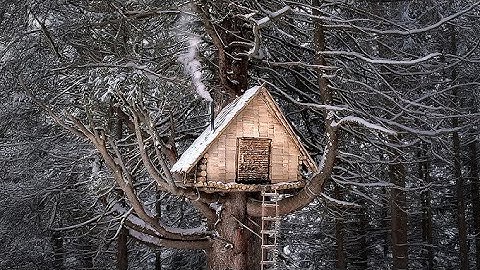 This Man Built a One-of-a-Kind Treehouse You Won’t Believe Exists!