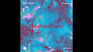 Quiet Bison feat. Pauline Herr - Call It Even (Quantinium remix)