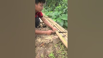 A simple smart tool that is very sharp and effective for cutting bamboo #shorts