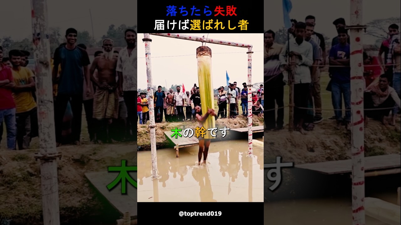 この木を制した者に訪れる繁栄