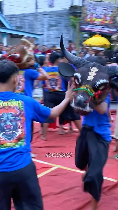 Gawat Banteng Kalap Bandilan Sereeeem #bantengan #shortvideo #shorts #short