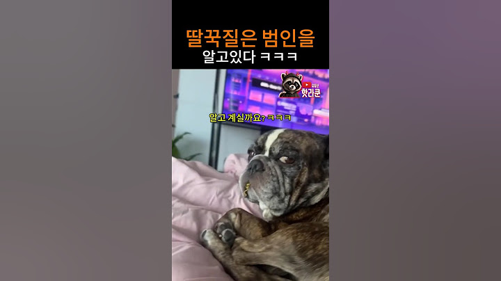 범인은 이안에 있다 ㅋㅋㅋ 너 아니면 너
