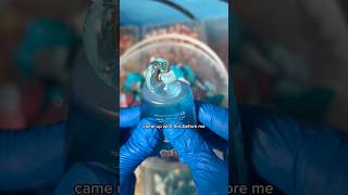 This Customer Was A Genius The Best Candy Salad Idea Ever