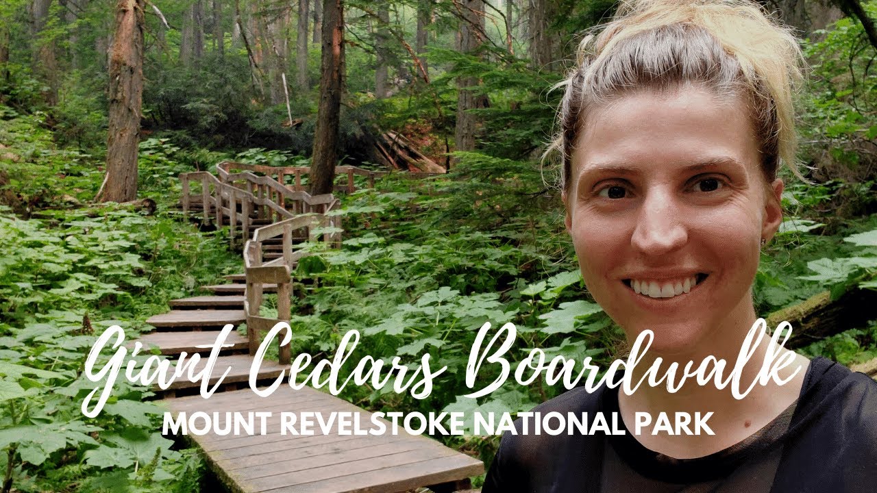 Hiking BC: Giant Cedars Boardwalk