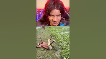 TRY NOT TO LAUGH CHALLENGE 😂 | Wait For End | #PPLT PT309