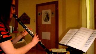 Rolling in the Deep - Adele - clarinet cover [HD]