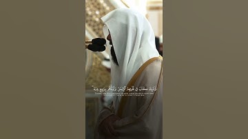 سورة المجادلة | محمد برهجي