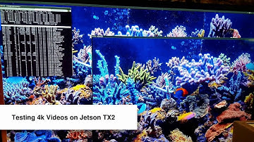 Jetson TX2 can play two 4K videos simultaneously, full speed