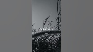 قال انما اشكو بثي وحزني الى الله - القارئ { إسلام صبحي }