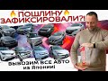 Фиксация ПОШЛИН на ВВОЗ Авто в РОССИЮ⁉️БОЛЬШИЕ ПОСТУПЛЕНИЯ АВТО ИЗ ЯПОНИИ❗Civic❗N Box❗Vezel❗C-HR❗