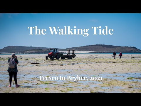 The Walking Tide