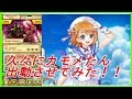 【白猫】久々のカモメたん出動!