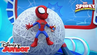 Sistemdeki Hata Marvel Spidey Ve İnanılmaz Arkadaşları Disney Türkiye