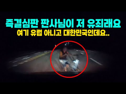 23360회. 즉결심판 판사님이 유럽 이야기를 하시면서.. 결국 유죄 판결 받았습니다.