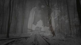 Feigur - Desolation (Lyrics Video)