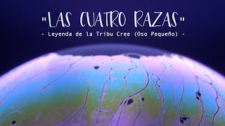 LAS CUATRO RAZAS 🖐🏿 Leyenda de la Tribu Cree